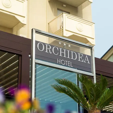 Orchidea קרביה